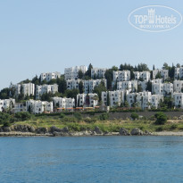 фото из отзыва ID 721436