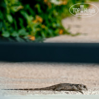 фото из отзыва ID 722205