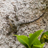 фото из отзыва ID 722205