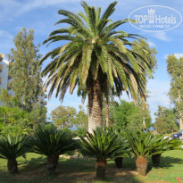 фото из отзыва ID 722343