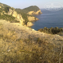 фото из отзыва ID 722495