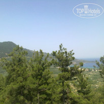 фото из отзыва ID 722495