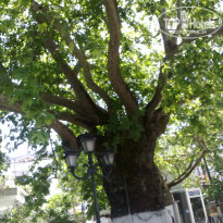 фото из отзыва ID 722495