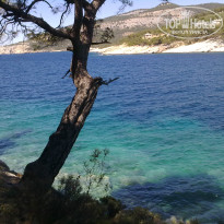 фото из отзыва ID 722495