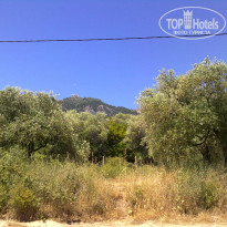 фото из отзыва ID 722495