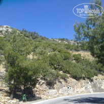 фото из отзыва ID 722495