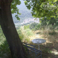 фото из отзыва ID 722495