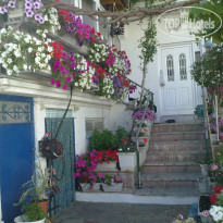 фото из отзыва ID 722495