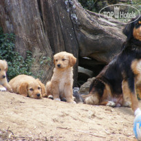 фото из отзыва ID 722538