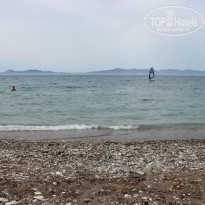 фото из отзыва ID 722677