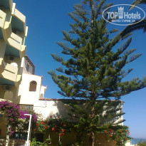 фото из отзыва ID 722769