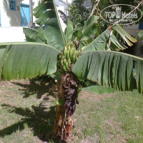 фото из отзыва ID 722769