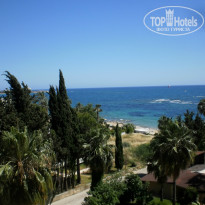 фото из отзыва ID 722929