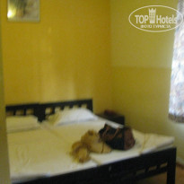 фото из отзыва ID 722944