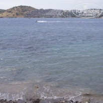 фото из отзыва ID 722998