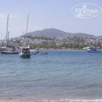 фото из отзыва ID 722998