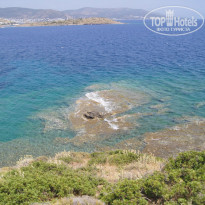 фото из отзыва ID 722998