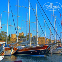 фото из отзыва ID 722998