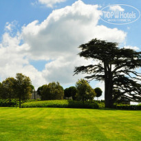 фото из отзыва ID 722850