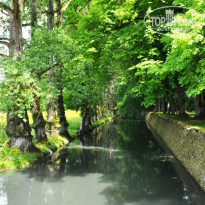 фото из отзыва ID 722850