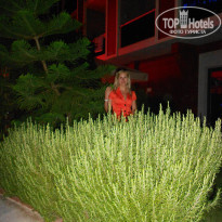 фото из отзыва ID 722133