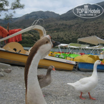 фото из отзыва ID 723599