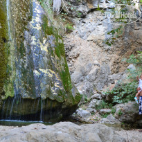 фото из отзыва ID 723087