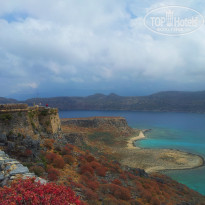 фото из отзыва ID 723362