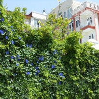 фото из отзыва ID 723495