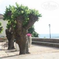 фото из отзыва ID 723830