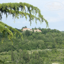 фото из отзыва ID 723830