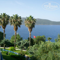 фото из отзыва ID 723917