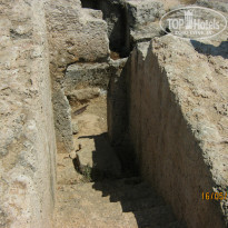 фото из отзыва ID 724746