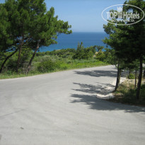 фото из отзыва ID 724058