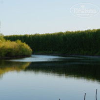 фото из отзыва ID 724246