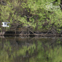 фото из отзыва ID 724246