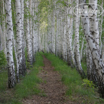 фото из отзыва ID 724246