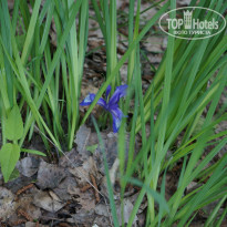 фото из отзыва ID 724246