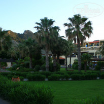 фото из отзыва ID 724308