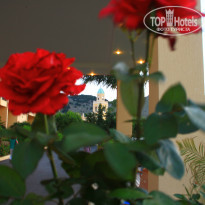 фото из отзыва ID 724308