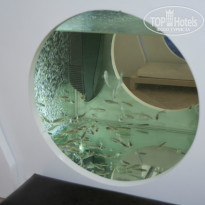 фото из отзыва ID 724750