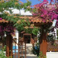 фото из отзыва ID 724813