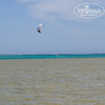 фото из отзыва ID 725690