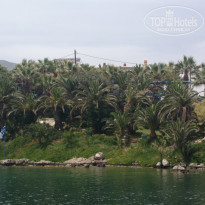 фото из отзыва ID 725048