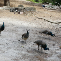 фото из отзыва ID 725453