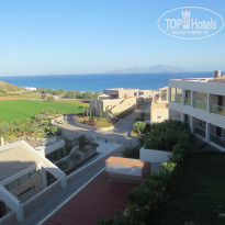 фото из отзыва ID 725453