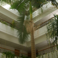 фото из отзыва ID 726201