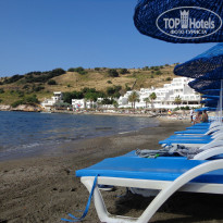 фото из отзыва ID 726300