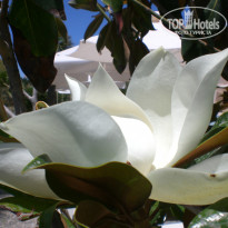 фото из отзыва ID 726376