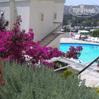 фото из отзыва ID 726796